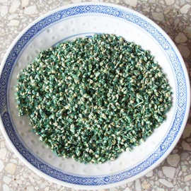 批发野牛草草坪种子易种植草籽 野牛草种子易种植 野牛草发芽率高