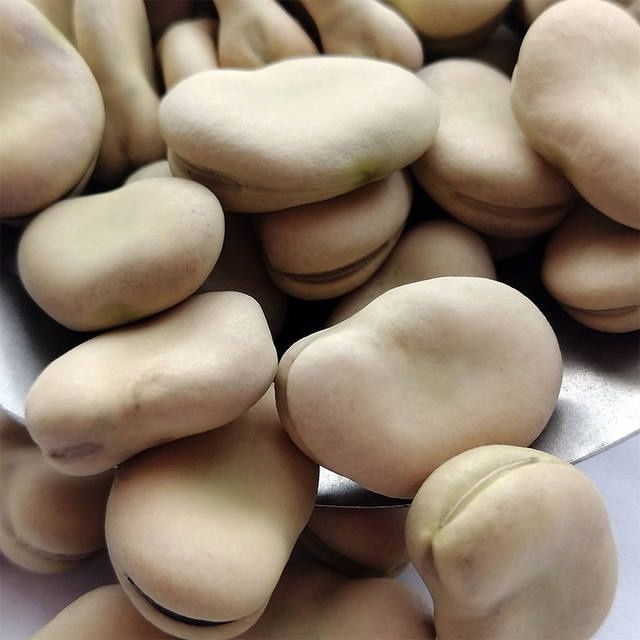 5斤新散装货中粒生干蚕豆特产胡豆生蚕豆农家佛豆生干货-阿里巴巴