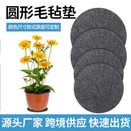 亚马逊圆形毛毡杯垫双面圆形家用吸水隔热杯垫无纺布园艺垫片批发
