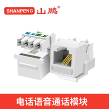 山鹏 4芯电话语音镀金模块 工程级打线式电话 CAT3电话线面板模块