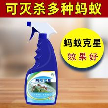 蚂蚁药家用一窝端室内非无毒灭蚁药强效全窝端厨房杀小黄蚁专用药