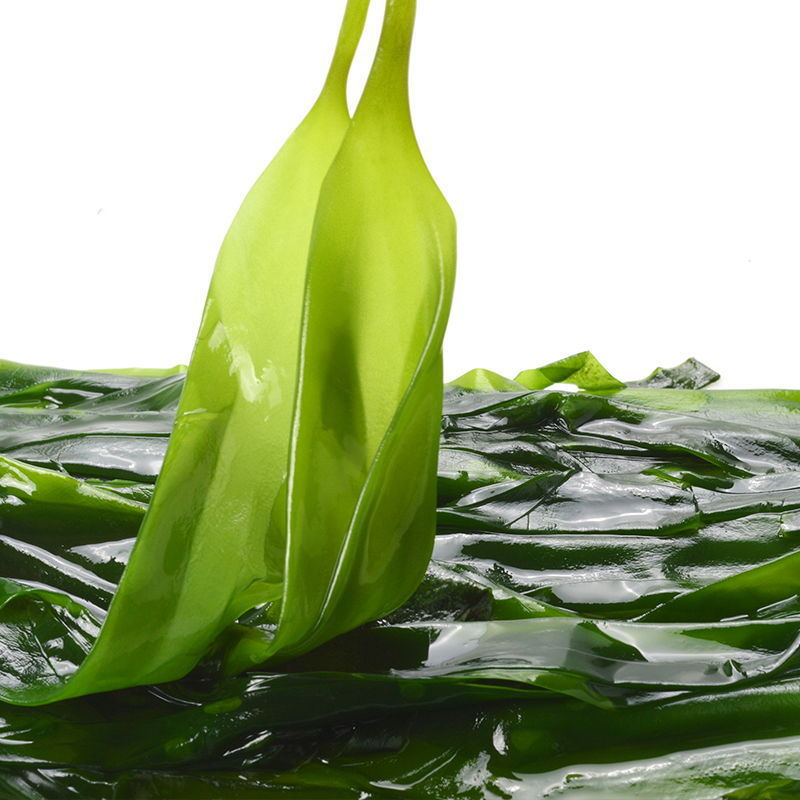 海带苗霞浦海带嫩苗火锅煲汤食材盐渍海白菜苗裙带菜海带芽小海带