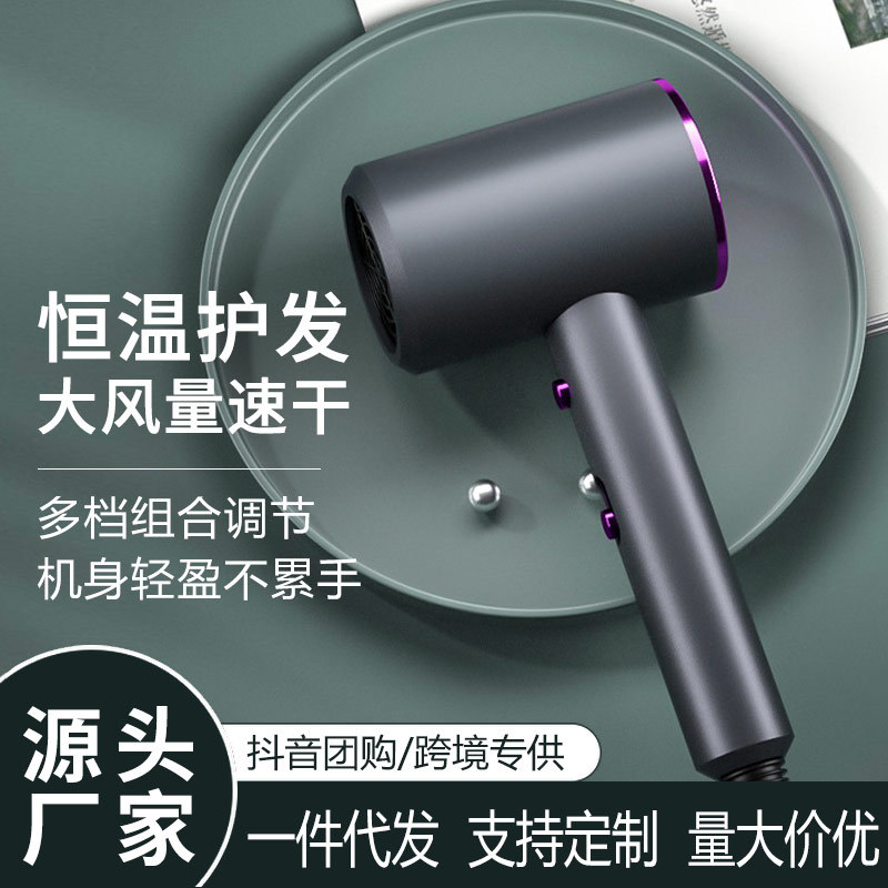 Cross-Border Small Household Appliances Hammer Hair Dryer Household T-Shaped Hair Dryer Negative Ion High Power Hair Dryer Wholesale