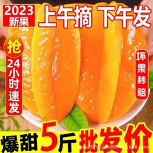 福建漳州甜杨桃水果当季整箱洋桃鲜果新鲜红龙扬桃五角星阳桃包邮