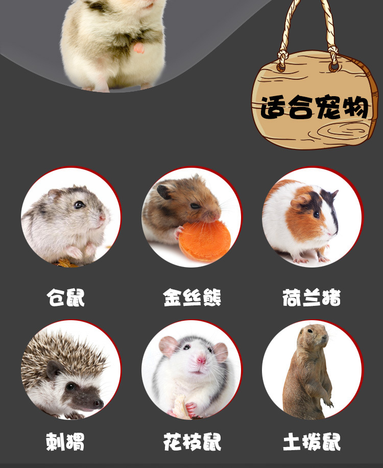 仓鼠外带笼仓鼠饲养箱豚鼠金丝熊笼子窝刺猬蜜袋鼯保温恒温箱防水