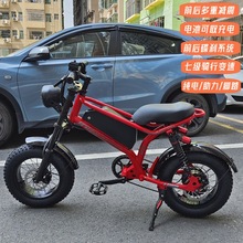 新国标可上牌电动自行车宽胎助力车代步电瓶车成人电动车山地车
