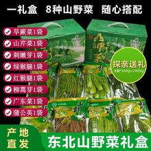 东北特产野生大叶芹山菜新鲜蔬菜山野菜山芹菜3斤包邮原产地直销