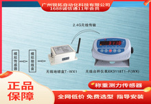 美国MkCells XK3118T1-F(WX)无线数字仪表