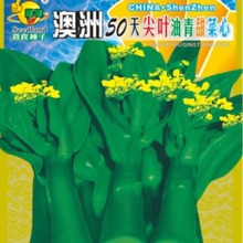 喜良蔬菜种子澳洲50天尖叶油青甜菜心基地田园阳台盆栽500克装