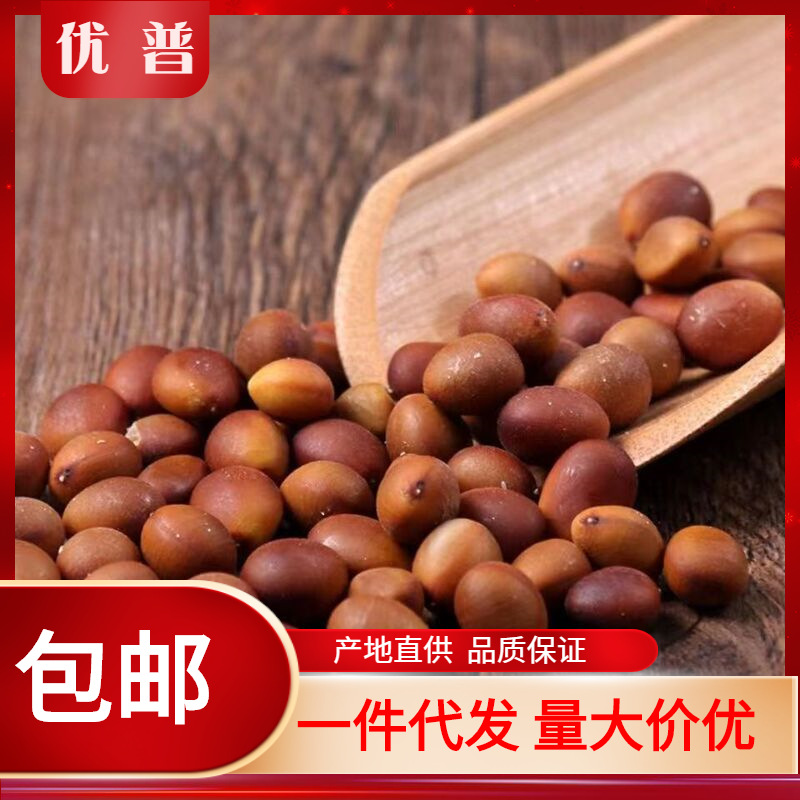 中药材批发皂角子 黑皂角籽 皂角籽 皂荚树种子皂角子500克-阿里巴巴