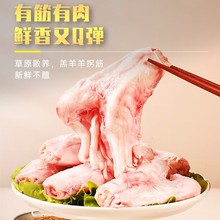 新鲜羊羔羊拐筋羊拐骨羊棒骨生羊拐筋长羊肘骨筋生羊肉羊小腿筋带
