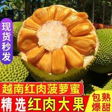 正宗越南红肉菠萝蜜一整个新鲜版纳红心菠萝蜜泰国当季水果木菠萝