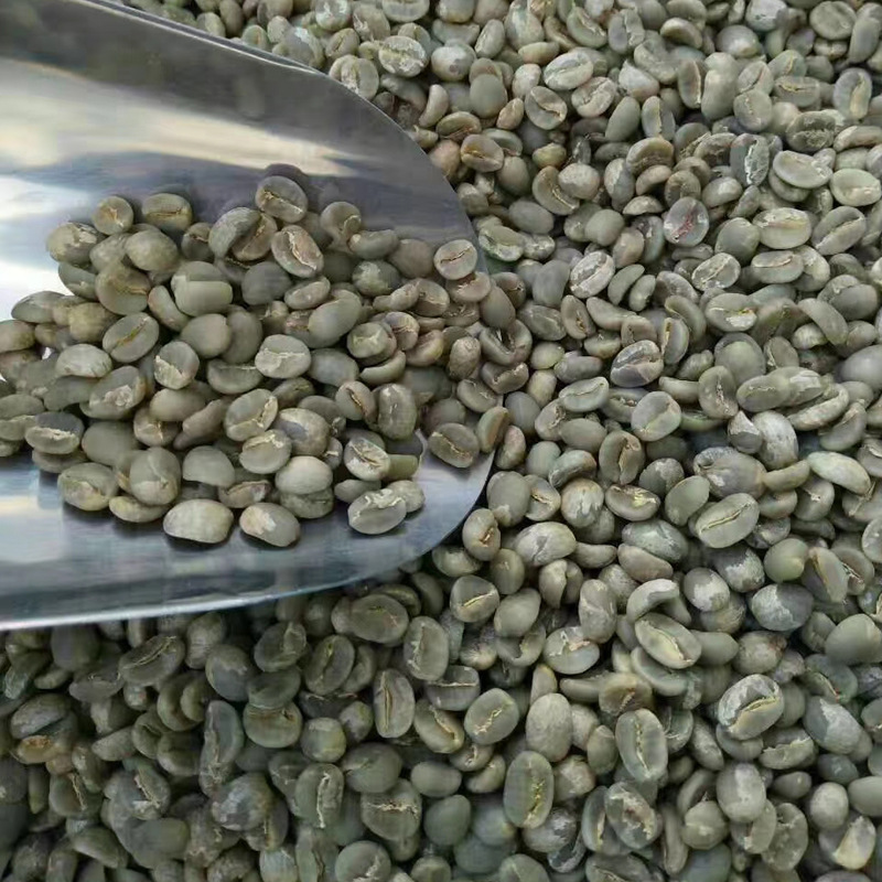 新产季云南小粒咖啡普洱咖啡水洗处理阿拉比卡生咖啡豆原料批发