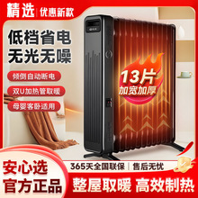 先锋取暖器电油汀电暖器暖气片家用电热油汀全屋速暖烘衣DYT-Z10
