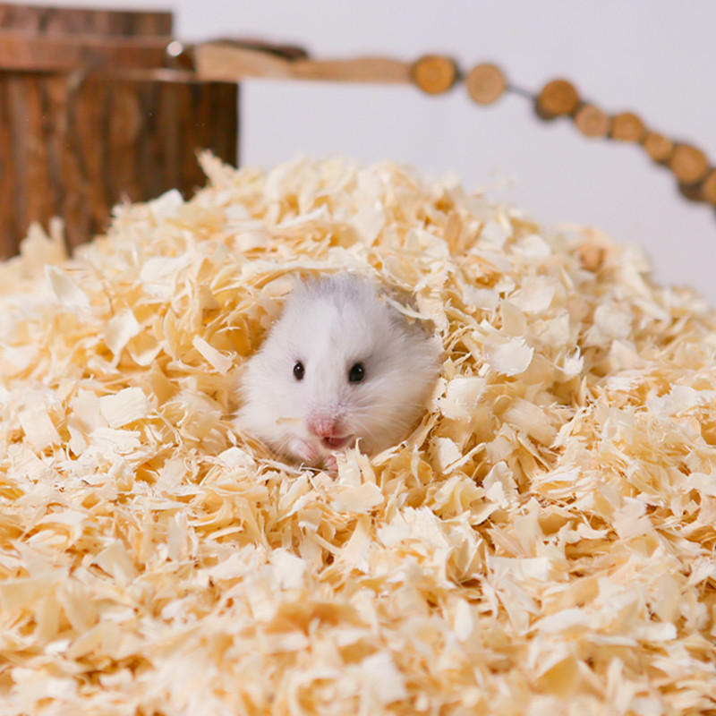 仓鼠木屑白杨木刨花小动物垫料专用冬天保暖除臭无尘品一件代发