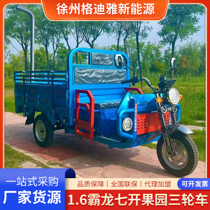 6霸龙七开果园电动三轮车拉货载货送货电动三轮物流场地中转电