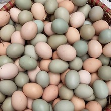 鸡蛋农家散养土鸡蛋新鲜绿壳蛋混合装儿童孕妇营养蛋整箱批发
