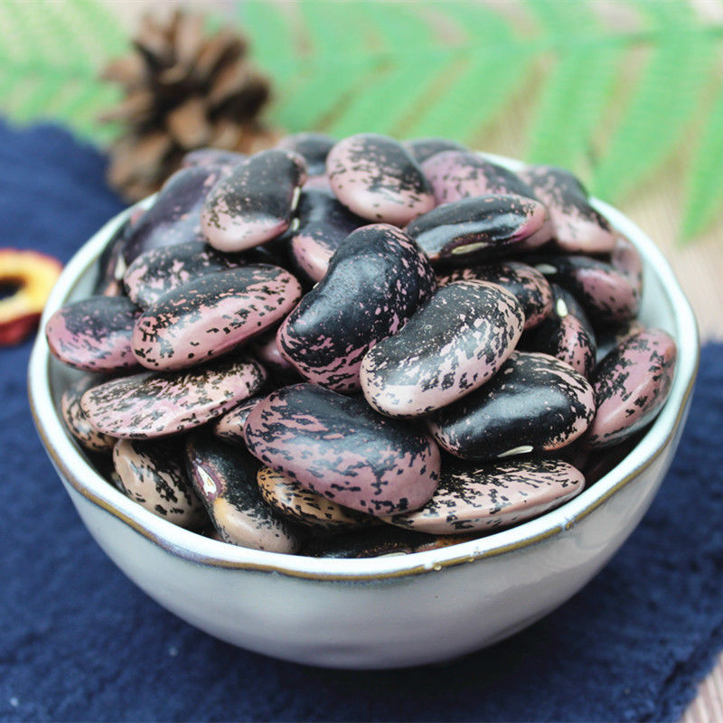 大黑花芸豆新货云南农家雪山黑芸豆牛眼豆大花豆豆类杂粮粗粮包邮