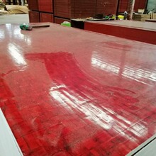 工程竹制板现浇建筑竹胶板多少价格双面覆膜清水效果好无需抹灰