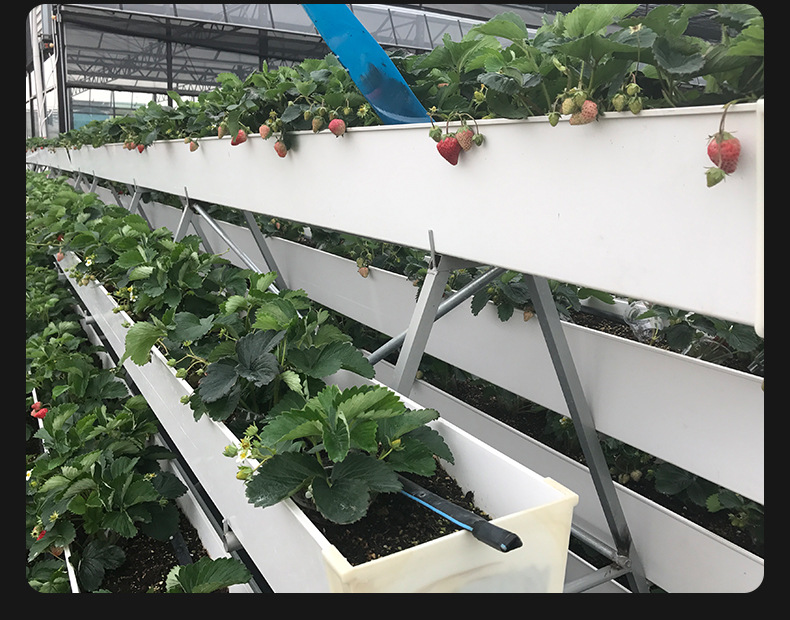 pvc塑料无土有机栽培草莓立体种植槽温室蔬菜栽培槽大棚培育架
