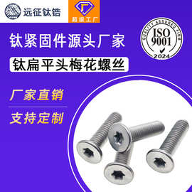 钛合金TA2薄头大平头梅花螺丝扁平低头CM梅花螺丝钉M2M3M4M5M6M8
