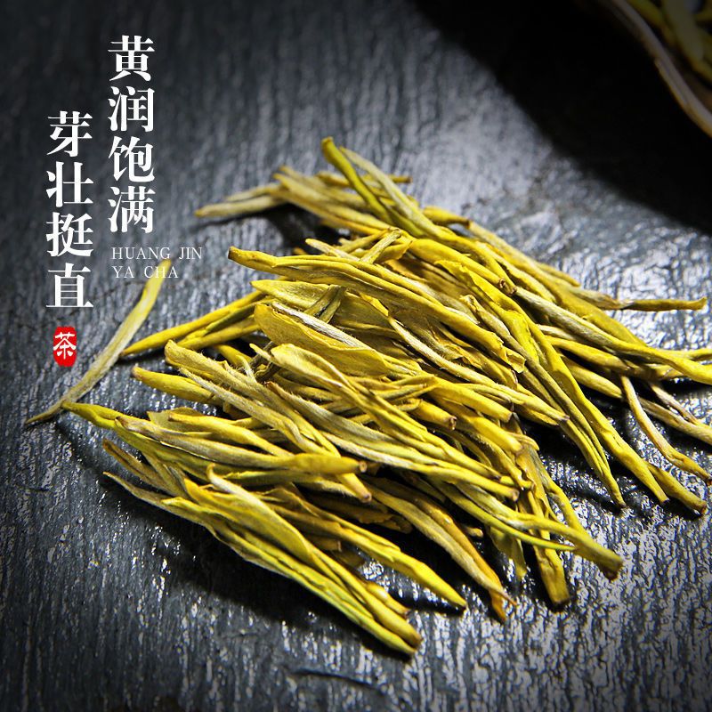 黄金芽芽茶叶春茶2023年新茶高山浓香耐泡绿茶珍稀白茶散装送礼厂