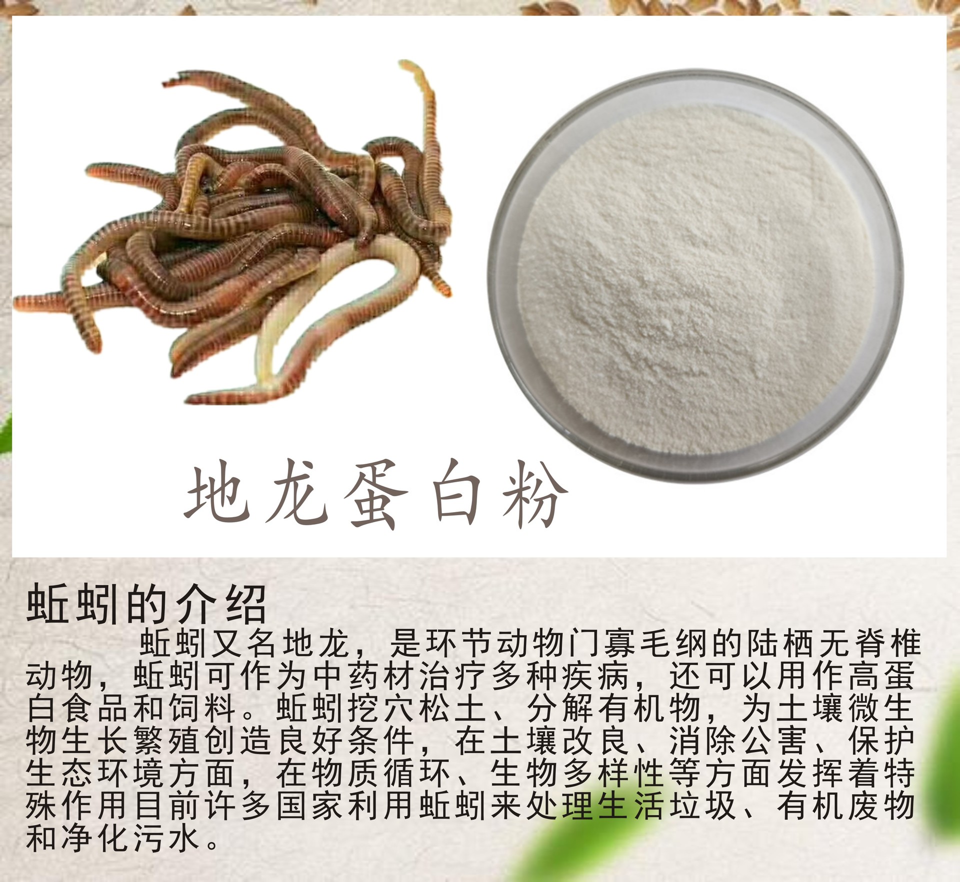 地龙蛋白粉90% 地龙蛋白肽 地龙蛋白 地龙提取物 1kg装 量大从优