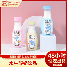 工厂直售新品水牛酸奶饮品生牛乳发酵小瓶营养草莓味原味儿童酸奶