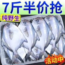 新鲜银鲳鱼鲜活海鲜冷冻深海白鲳鱼新鲜水产平鱼镜鱼海鱼扁鱼