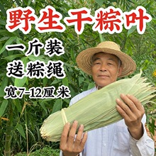 【一斤装送草绳约220张】野生干粽叶自然风干大号精选端午节包粽