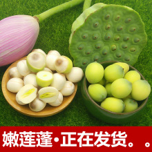 当天现货】莲蓬新鲜现摘4斤生吃莲子1即食孕妇水果蔬菜嫩莲米湘莲