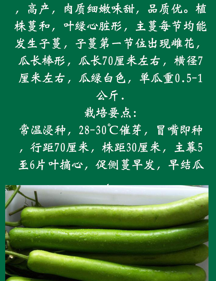 翠玉瓠子瓜种子 农场菜园早熟肉质细腻味甜瓠子种子 蔬菜种子