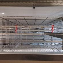 厂家定制自动化大层叠鸡棚整栋家禽鸡舍蛋鸡笼