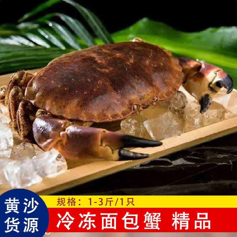 批发爱尔兰生冻面包蟹 镘头蟹 逍遥镘头蟹黄金蟹海蟹海鲜冻品批发