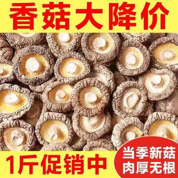 干香菇小个小个干货古田特产新鲜甄选蘑菇冬菇无根土特产山货批发