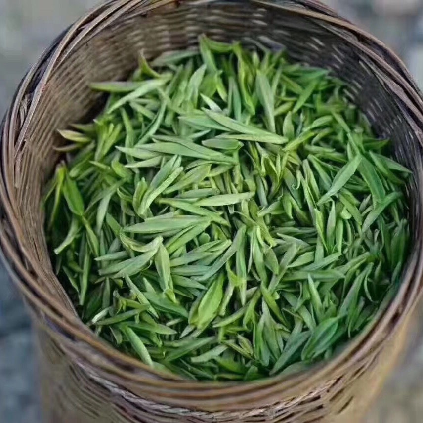 安徽泾县高山茶新茶尝鲜价散装茶叶明前高山绿茶特价批发-阿里巴巴