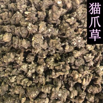 批发中药材 猫爪草 水洗无泥猫爪草 猫抓草 实物拍摄免费打粉