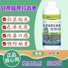 甘蔗叶面肥膨大增粗拉直1000克生根壮苗黑果蔗糖蔗拔节起灰优丰素