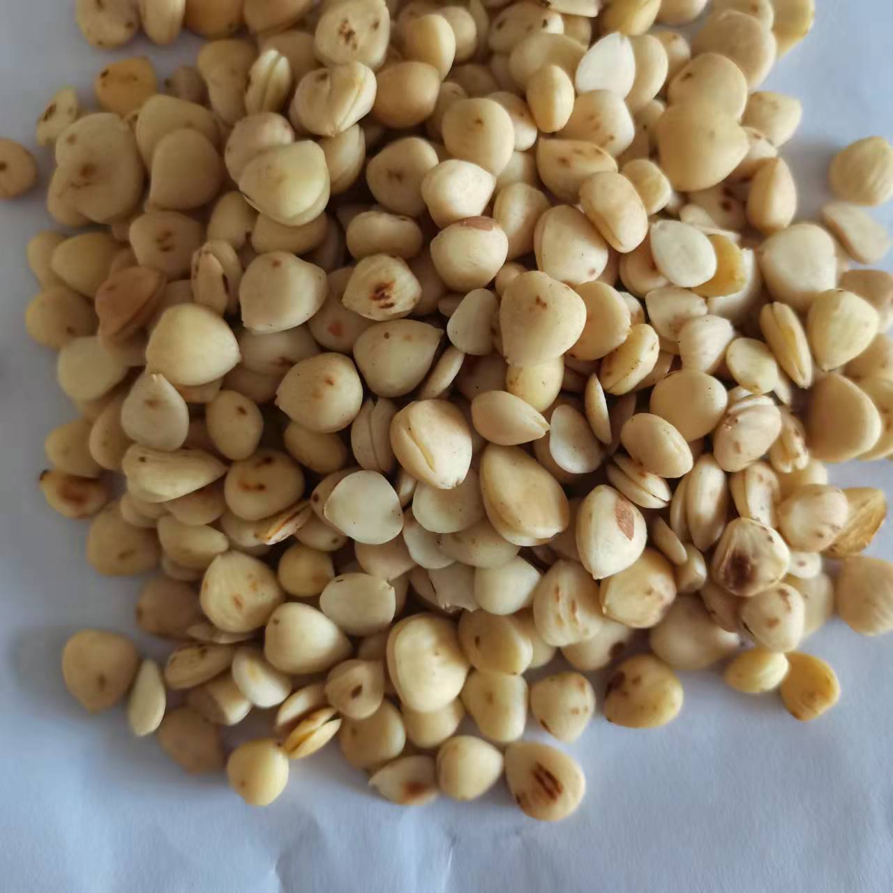 炒苦杏仁 苦杏仁炒杏仁 选货 产新掉价 为冲销量 货好价格低