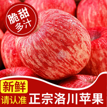 正宗陕西洛川苹果水果当季整箱红富士冰糖心一级脆甜10斤包邮
