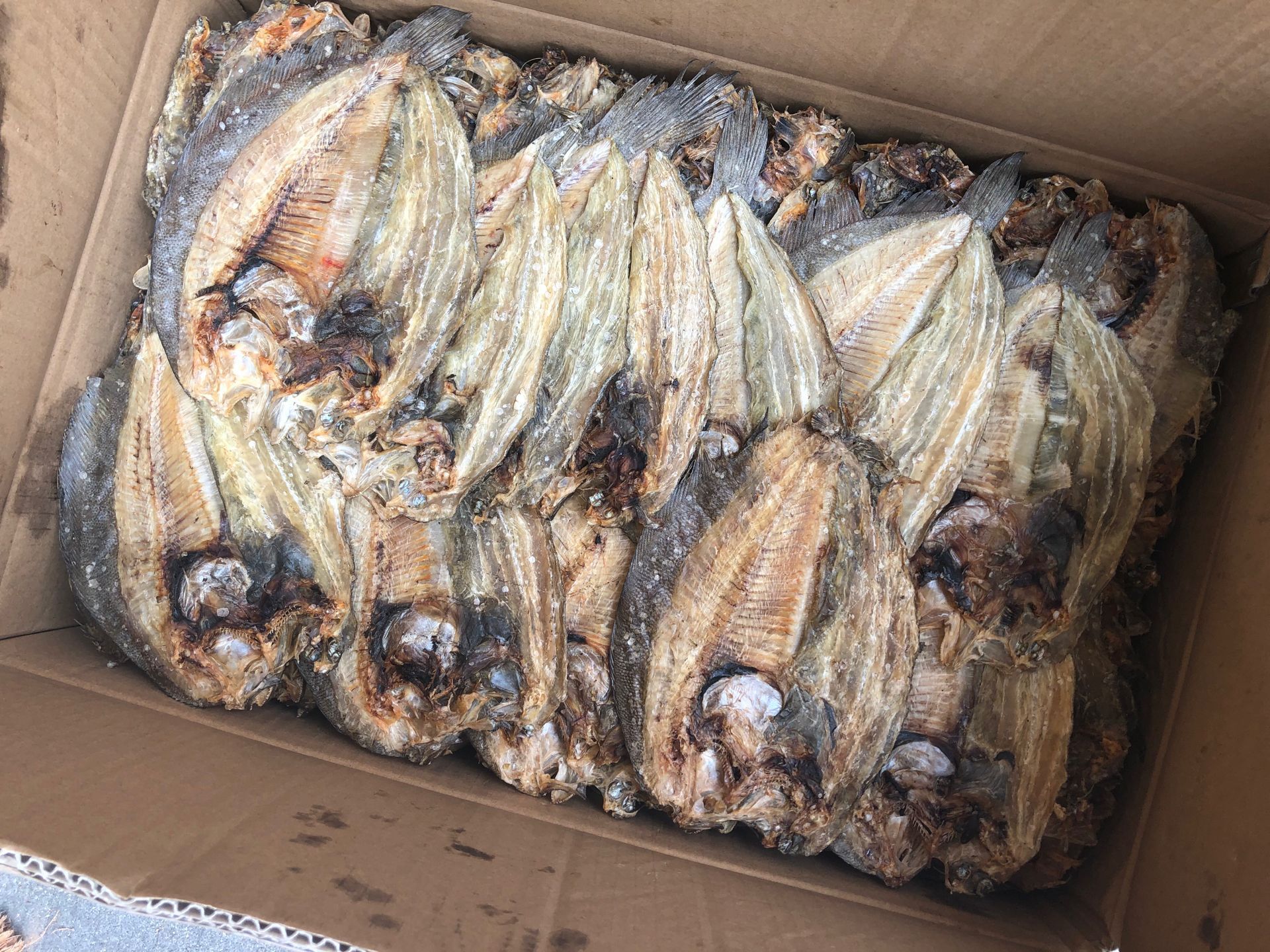 大地鱼干比目鱼铁脯鱼 左口鱼海味水产干货批发