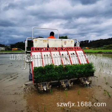 水田四行插秧机手拉六行小型水稻秧苗种植栽苗