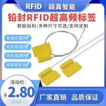 rfid超高频抽紧式一次性铅封标签 抗金属扎带物流跟踪防拆ABS标签