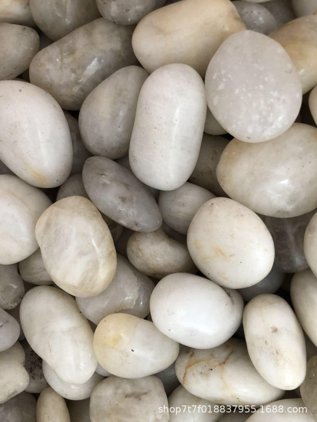 白色精品鹅卵石 白色雨花石 白色特级雨花石 鱼缸造景 园林美化