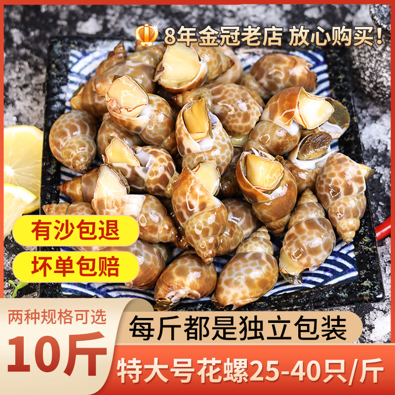 ll花螺鲜活新鲜冷冻5斤海鲜鲜活水产海猪螺小海螺香螺顺丰包-阿里巴巴