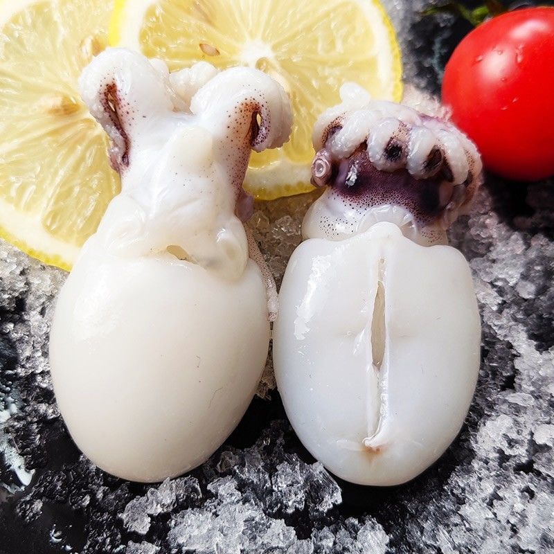 墨鱼仔新鲜冷冻海鲜水产速冻花枝小乌贼小墨鱼海鲜水产火锅食材