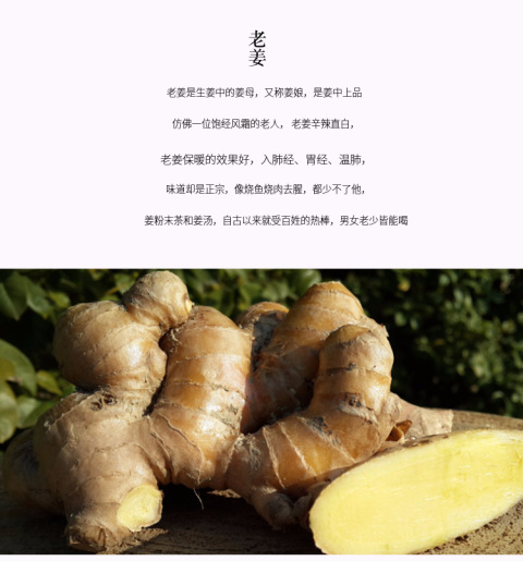 云南生姜粉 小黄姜粉 纯姜粉 干姜粉 姜茶 驱寒 泡脚 养生250g