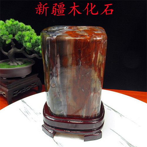 奇石原石硅化木木变石带收藏底座木摆件新疆