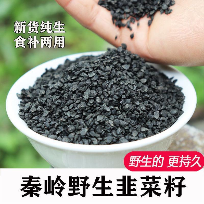 秦岭农家韭菜籽男性韭菜籽子泡茶用韭菜籽粉男性持久泡酒