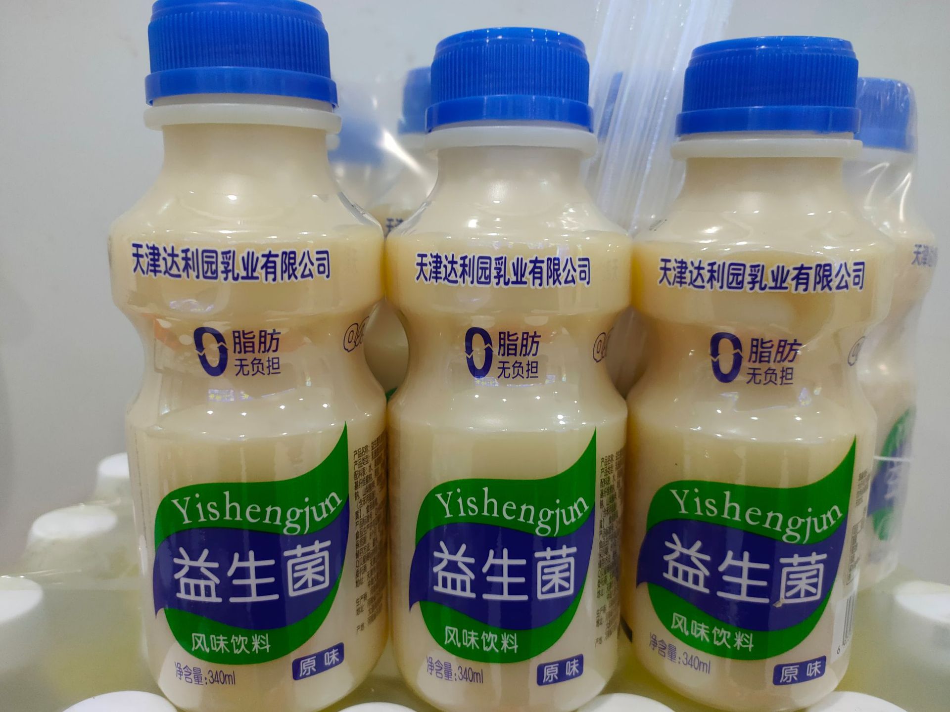 益生菌风味饮料340毫升*12瓶 ktv自助餐饭店商超酒吧饮料